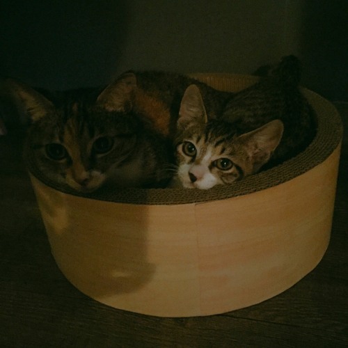 거기에 멈춰 줘 (2016 Ver.)