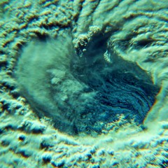 Force of Nature (Florence)