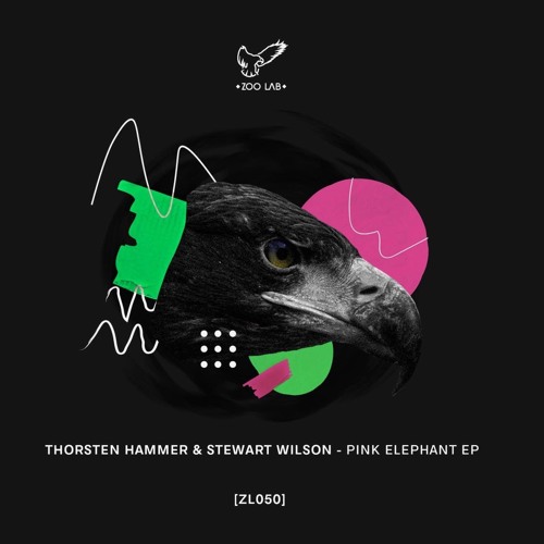 Thorsten Hammer & Stewart Wilson - Nemene