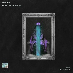 Valy Mo - No Joy (DSN Remix)