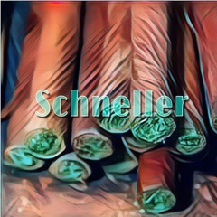Schneller feat. v4lentin (prod. by fleur.)