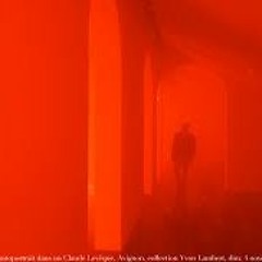 John  Arc- The Wild Shadows