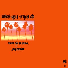 What you tryna do + Jay Savior (prod by Zaytrackz & Henrique C.)