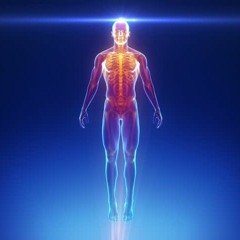 Body Scan Meditation