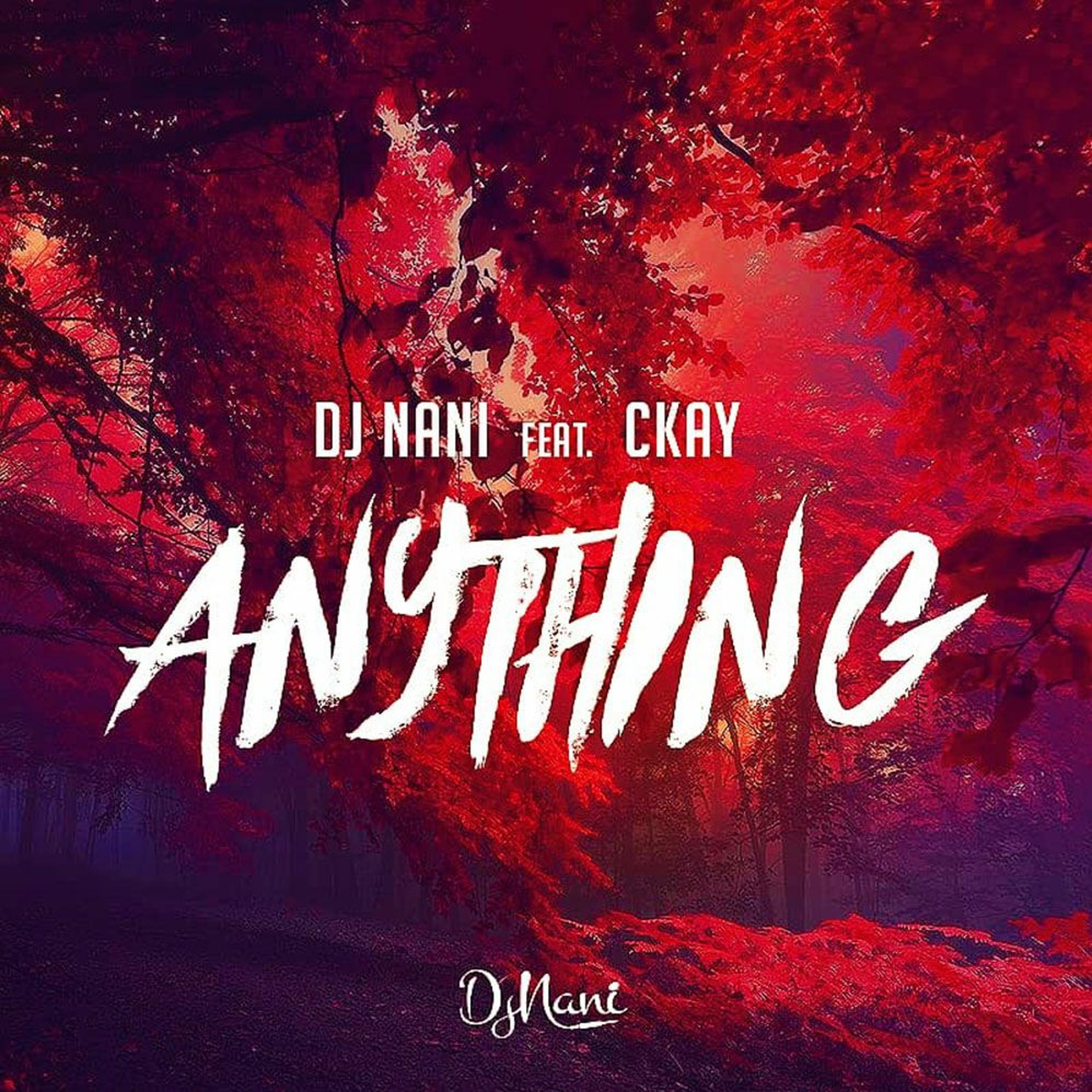 DJ Nani - Anything (ft. CKay) episode artwork
