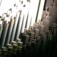 Trauma In The Airlock