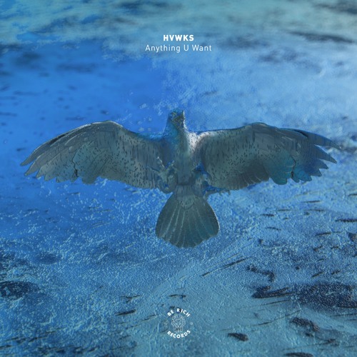 HVWKS - Anything U Want