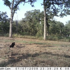 $unny - No Goodies Prod. D.D.I