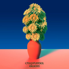 Carpainter - Mottled Pattern