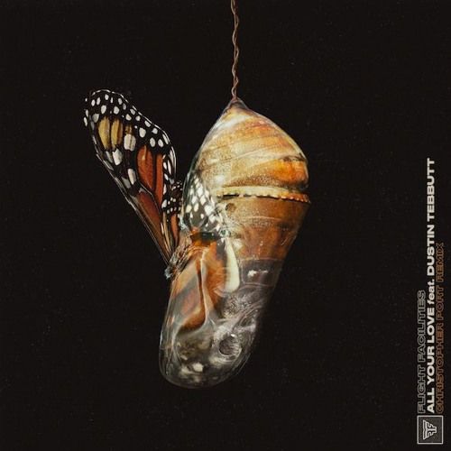 Flight Facilities - All Your Love (Christopher Port Remix)