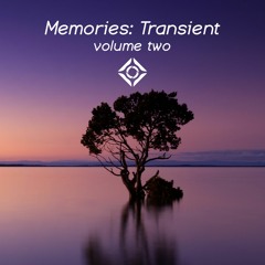 Memories, Vol. 2: Transient