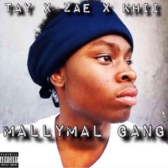 MALLY MAL GANG 🤙🏾(Tay x Zae x Khii )