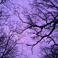 CD DEATH — b l e e d a n d w h i n e