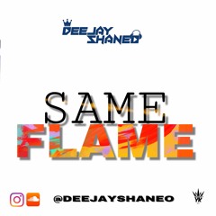 SAME FLAME 🔥 | MIXTAPE | @DEEJAYSHANEO