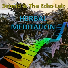 Herbal Meditation - Sennid & The Echo Lair
