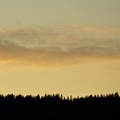 Six Colonnes Valley (Live Jam At Classe Verte)