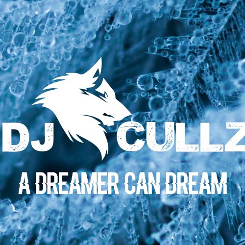 A Dreamer Can Dream