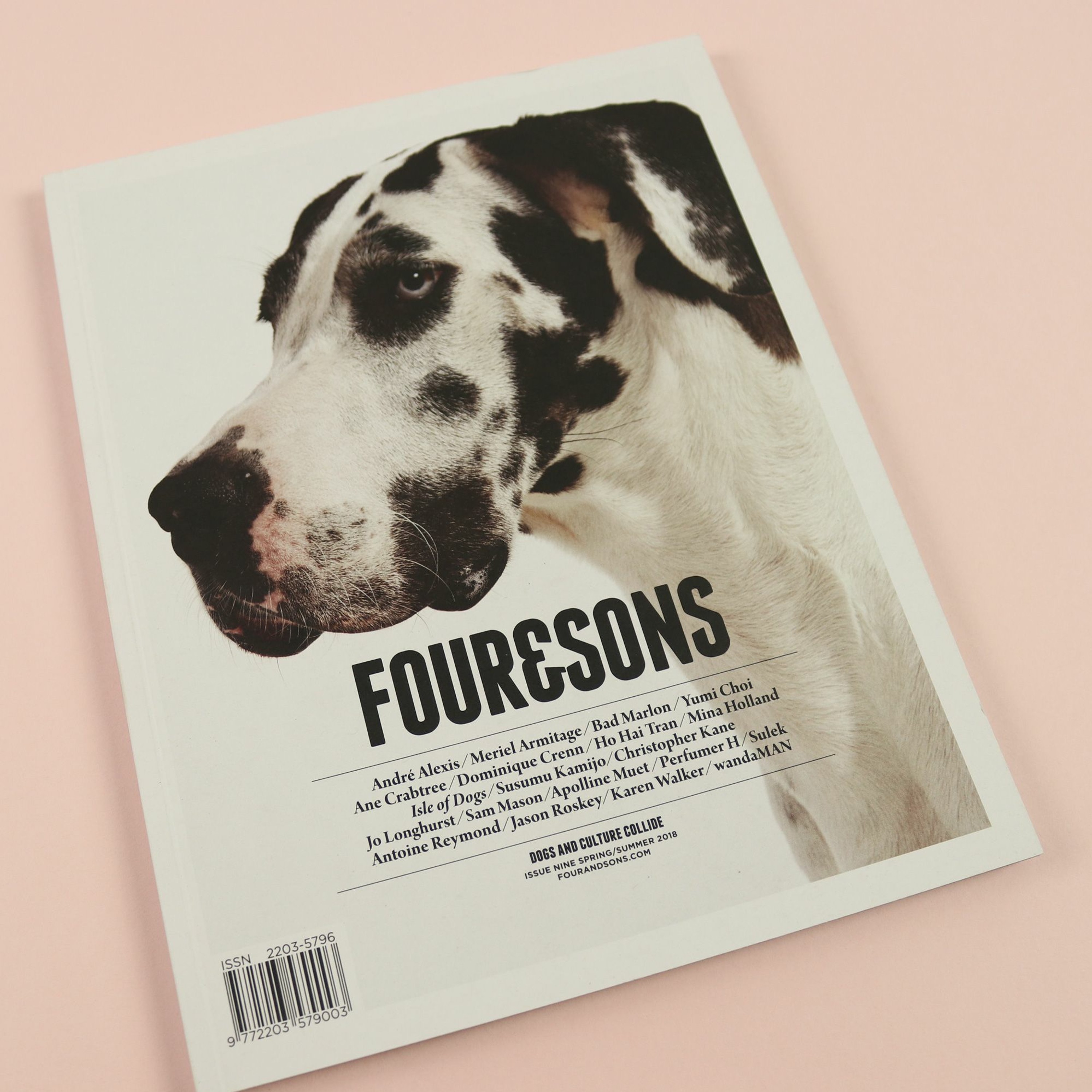 Art, dogs, and the beauty of surprise in Four & Sons magazine episode artwork