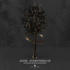 Antik - Everything (Hush & Sleep Remix)