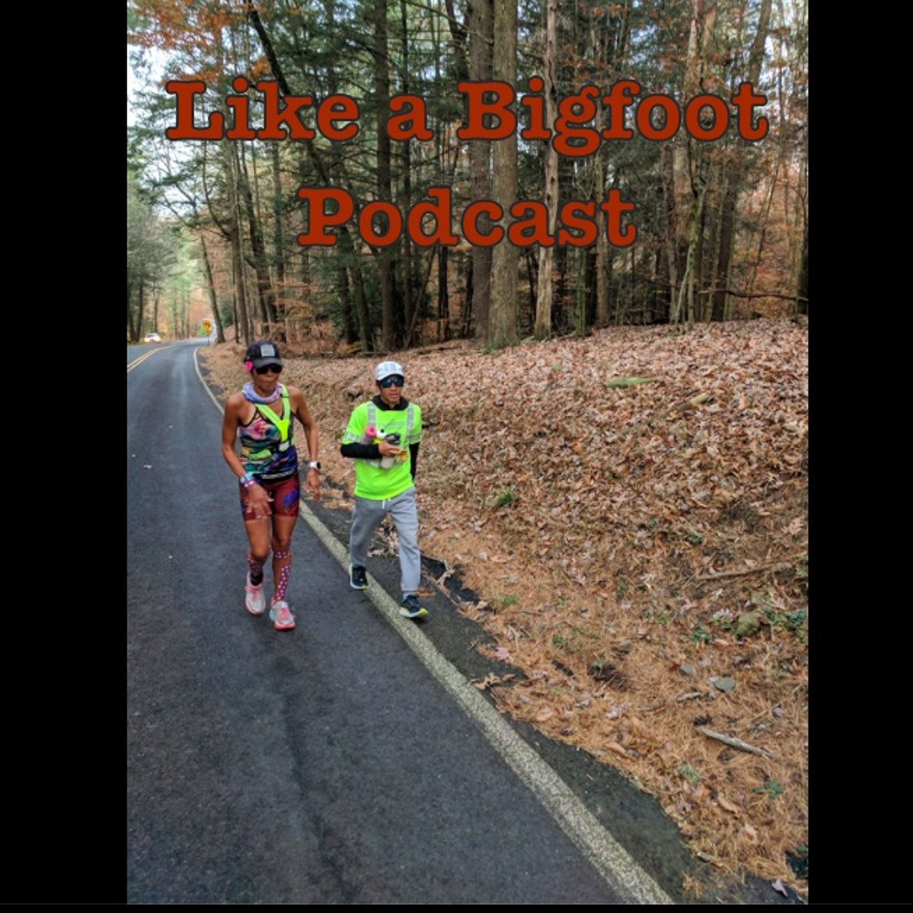 #111: Jay Lee -- How to Crew a Record Setting Run Across America episode artwork