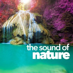 Dj Johnson & Dj Ochumeloff - Sound Of Nature