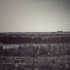Landhouse & Raddantze - Down By Lake