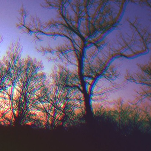 Dark Sun (RCILJ)