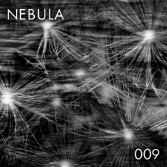 Nebula Podcast #9 - kiara