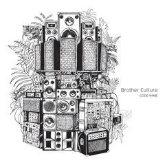 Change Of Society - Brother Culture [Evidence Music]