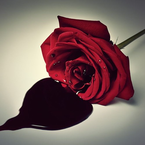 orel97 - nevěřím na lásku