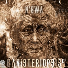 N'GwA - Banisteriopsis Promomix ( OUT on Psykedream 11th October )