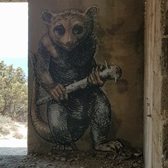 Neko Fuzz ft. Barbasauce - Can't cage us