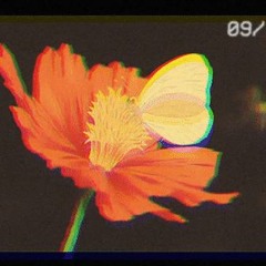 BTS - Butterfly (lofi - Edit) by byeol