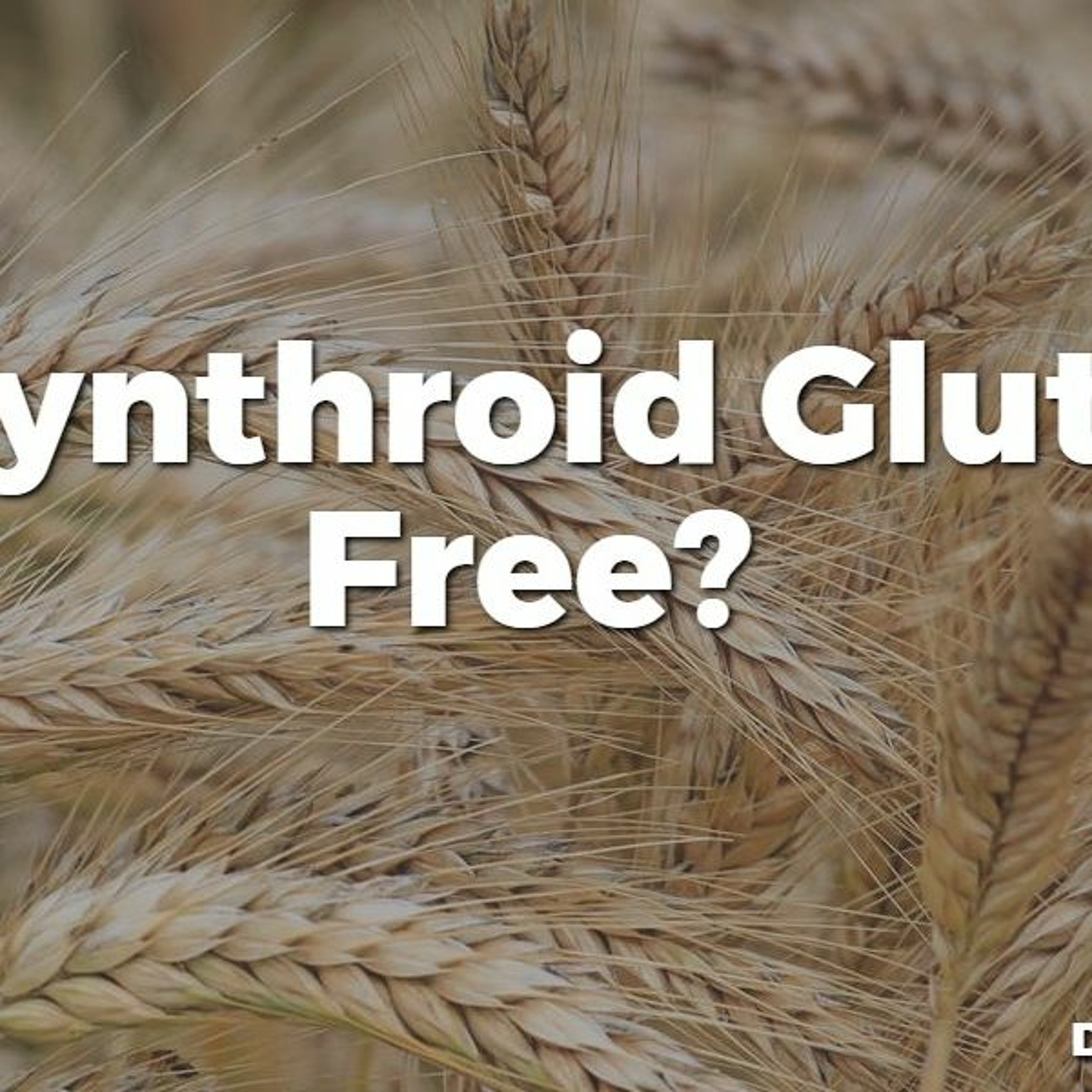 #38 Is Synthroid Gluten-Free?