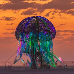 Burning Man 2018: Live @ The Mothball