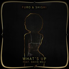 Furo & ShiShi - What's Up (Feat. David Meli)