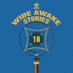 Wide Awake Stories #018 ft. Damian Lazarus and Doc Martin