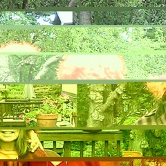 p i n s [live ephemera]