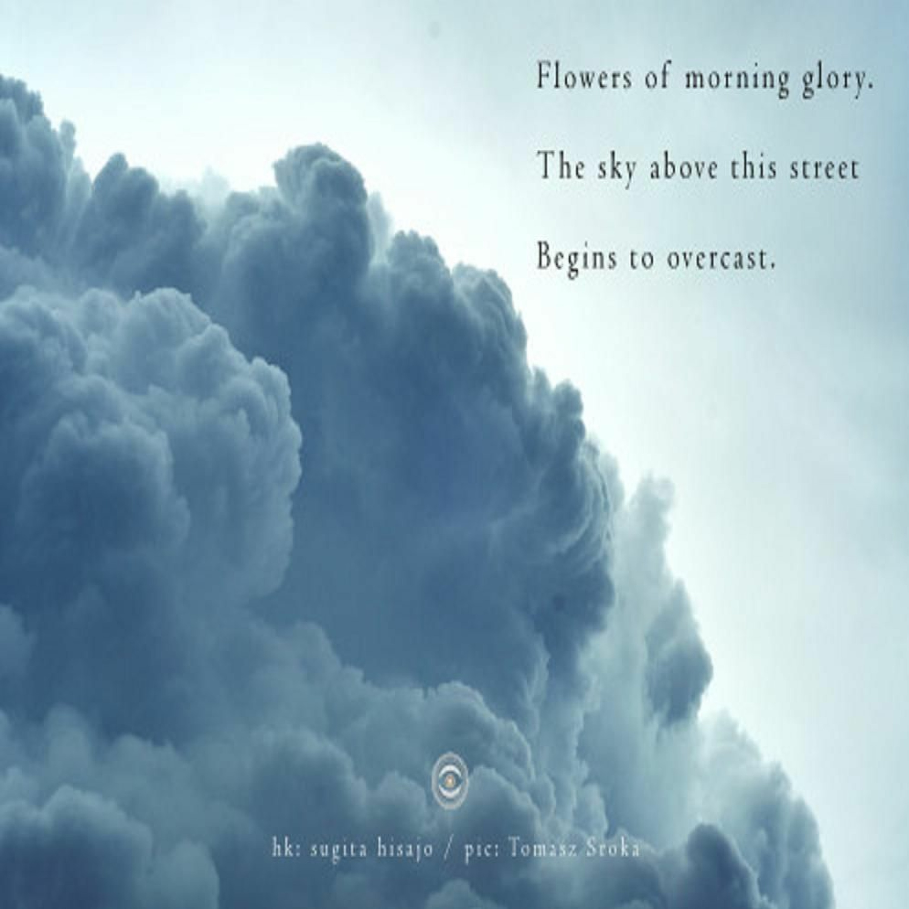 The Sky Above This Street Begins To Overcast. (Naviarhaiku 245) episode artwork