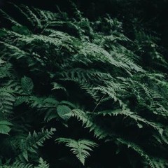 Greater - ( virtues )