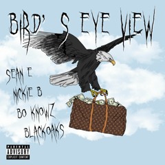 Birds Eye View Ft. SeanE, Bo Knows & Black Oaks