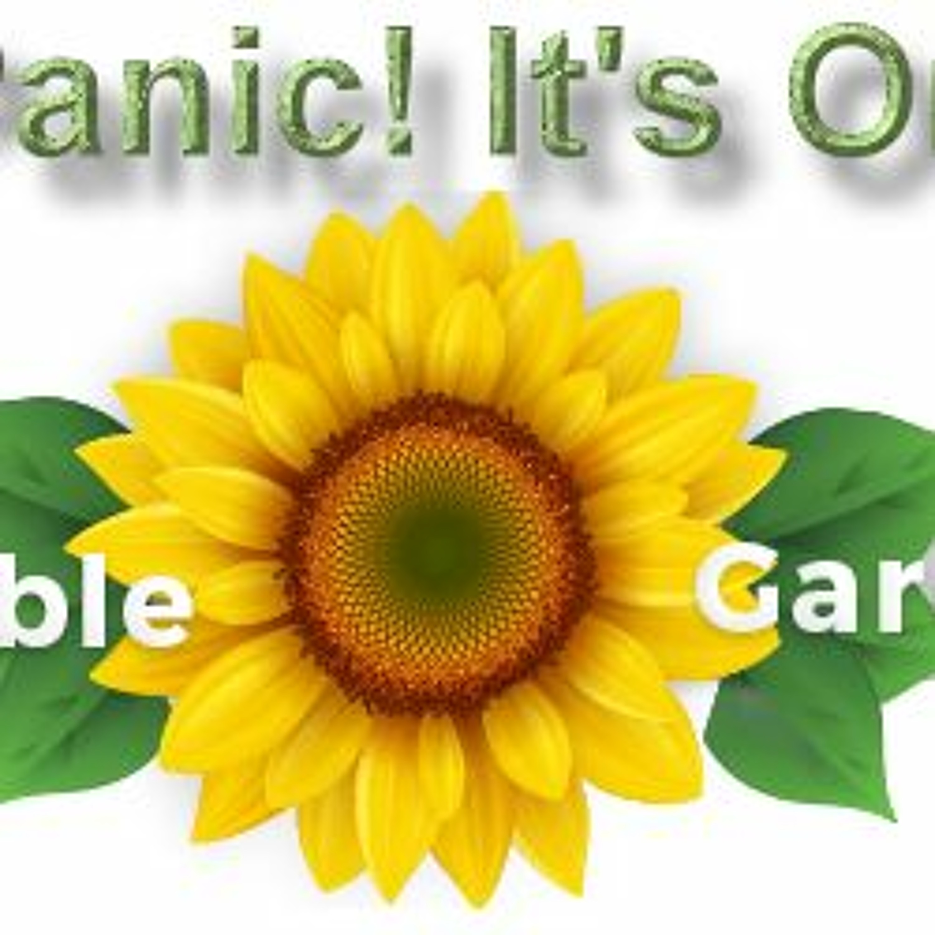 Dont Panic Its Organic 2018 - 09 - 08 episode artwork