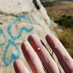 one day they'll shoot me down