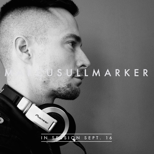 IN SESSION MARCUS ULLMARKER SEPT 2016