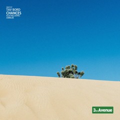 Tav Bord - Jubilee (Original Mix) [3rd Avenue]