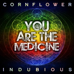 You Are The Medicine [Single]