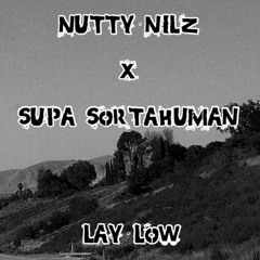 Lay Low ft. Supa Sortahuman (prod. Tenngage x Hydra Mane)
