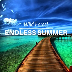 'Endless Summer' Tropical House Mix(Wild Forest 2018)