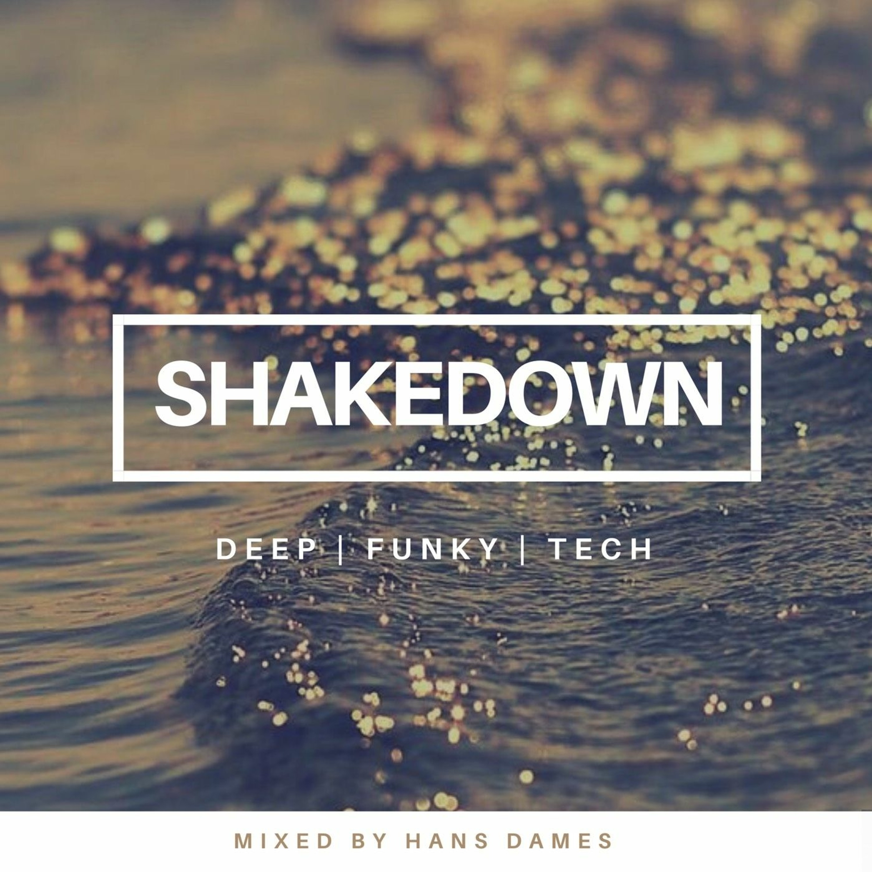SHAKEDOWN 2018 #1 - mixed by Hans Dames episode artwork