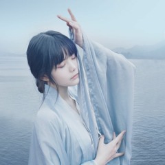 Cầm Sư 琴师 - Song Sênh 双笙